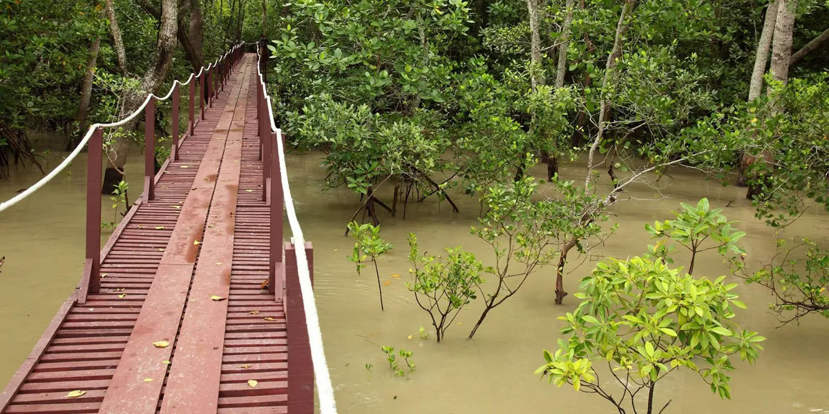 莎阿南国家植物公园(Shah Alam National Botanical Park)