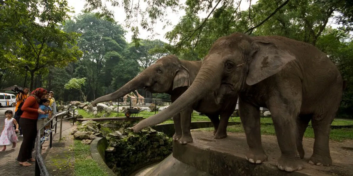 国家动物园(Zoo Negara)