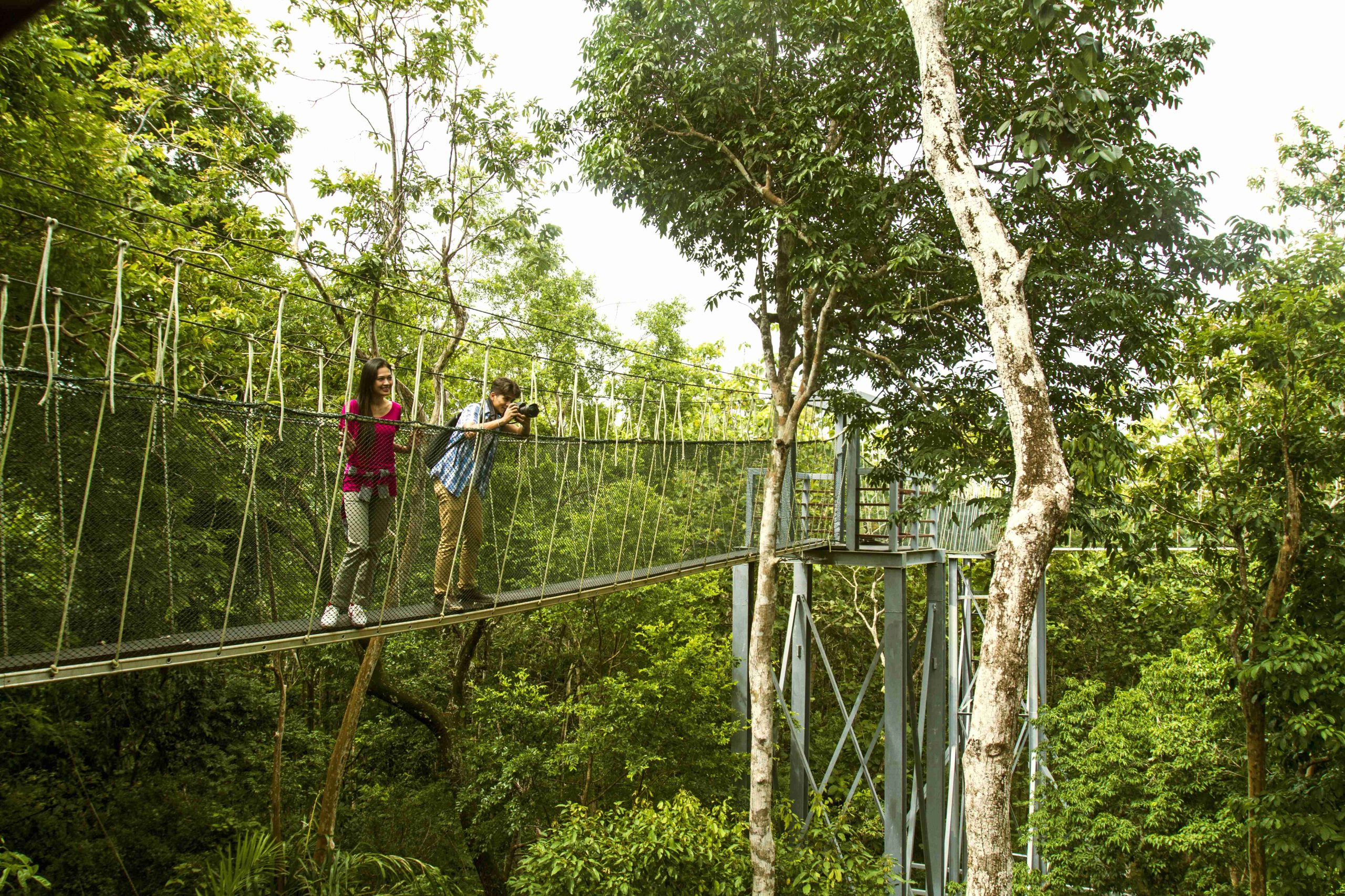 Canopy Walk