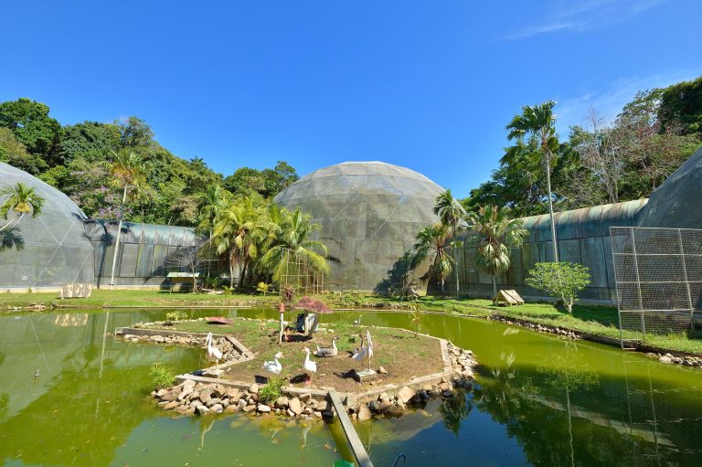 bird park_2