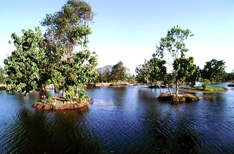 美拉蒂湖Tasik Melati
