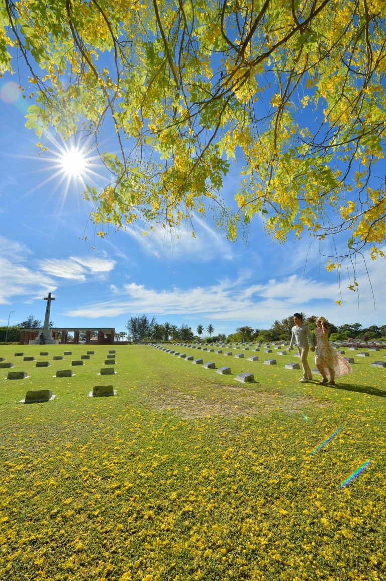 war cemetaty_2