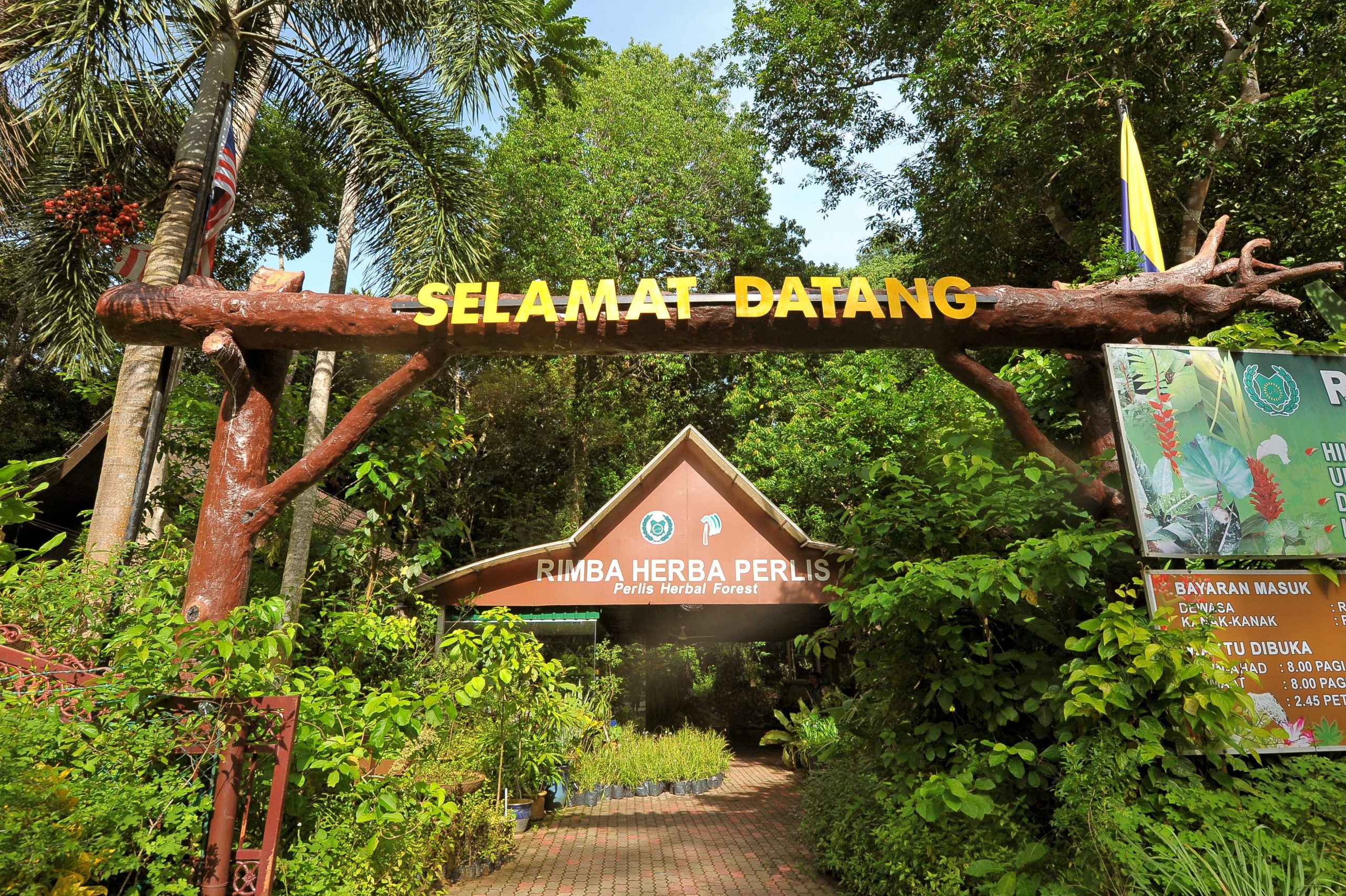Rimba Herba Perlis